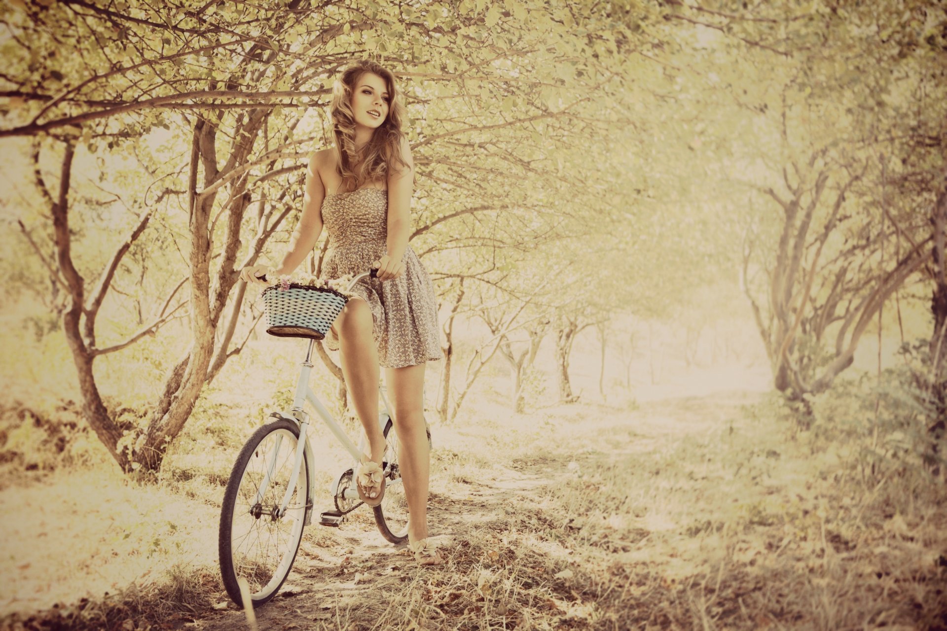 stimmung mädchen kleid fahrrad korb bäume blätter zweige hintergrund spaziergang erholung widescreen vollbild widescreen tapete