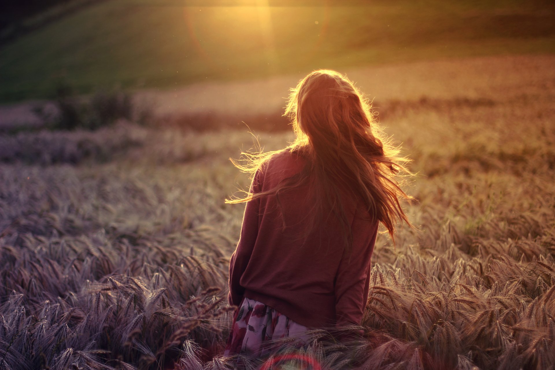 mood girl brunette nature the field plants rye wheat sun rays background wallpaper widescreen full screen hd wallpapers beautiful wallpaper