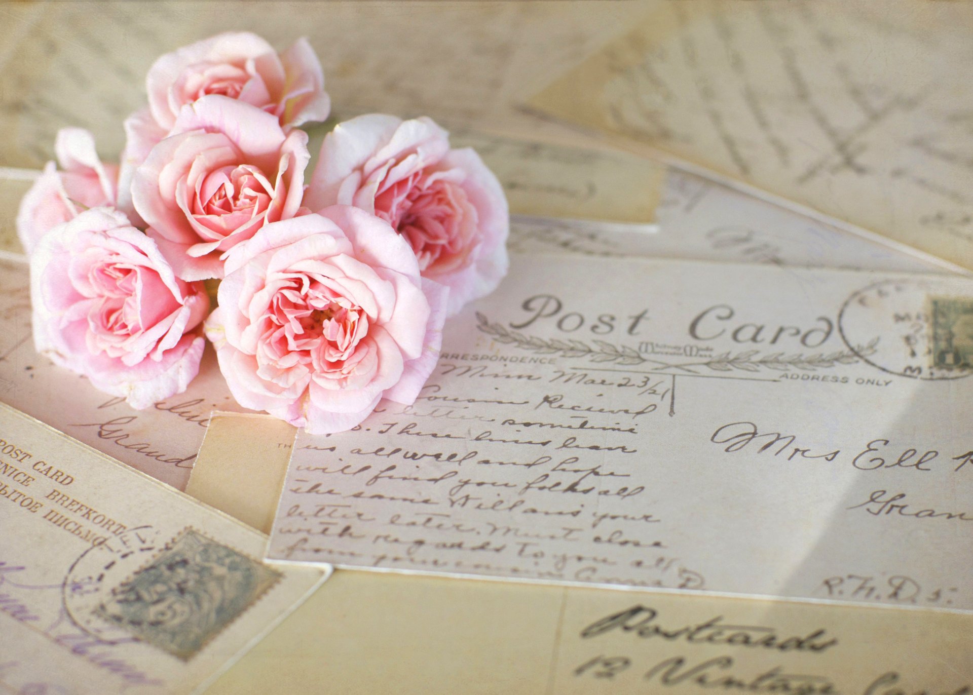 rosas flores rosa vintage postales cartas