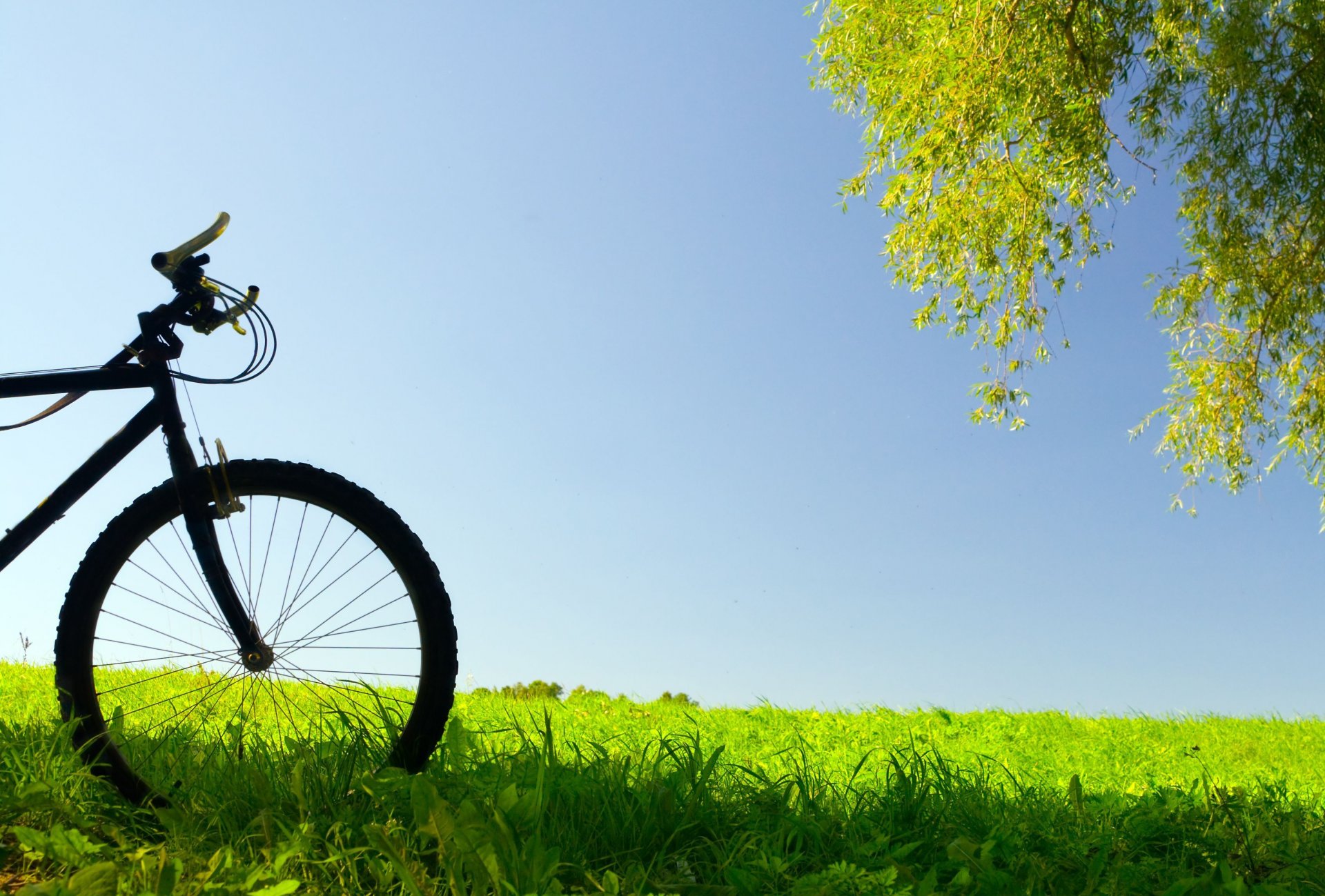 stimmung fahrrad rad gras grün wiese baum blätter himmel hintergrund tapete widescreen vollbild widescreen widescreen