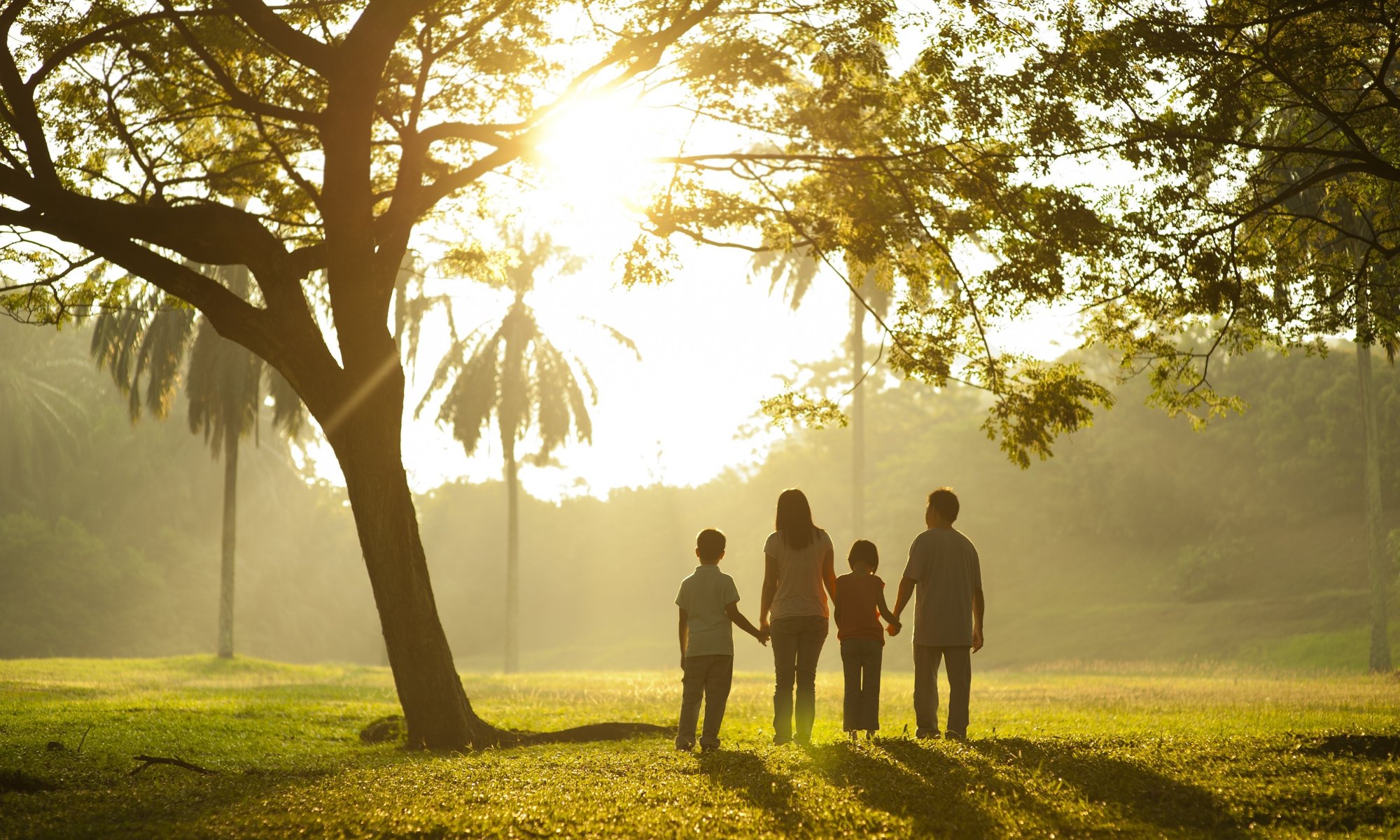 moods family mom dad kids kids walk grass greenery tree trees foliage leaves background wallpaper widescreen fullscreen widescreen widescreen