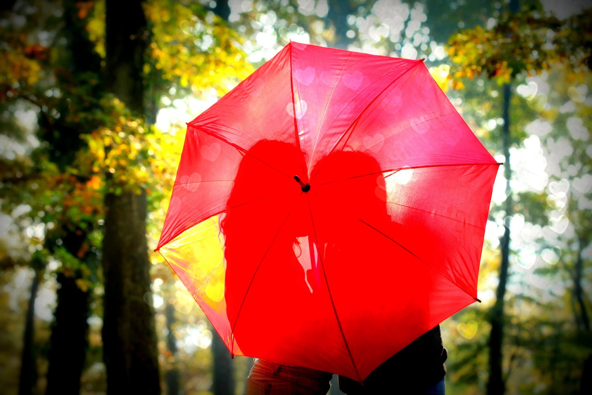 humeur fille petit ami femme couple amoureux sentiments amour romance date parapluie parapluie rouge ombre silhouette baiser intimité nature arbres feuilles feuillage folioles flou soleil fond d écran écran large plein écran écran large hd