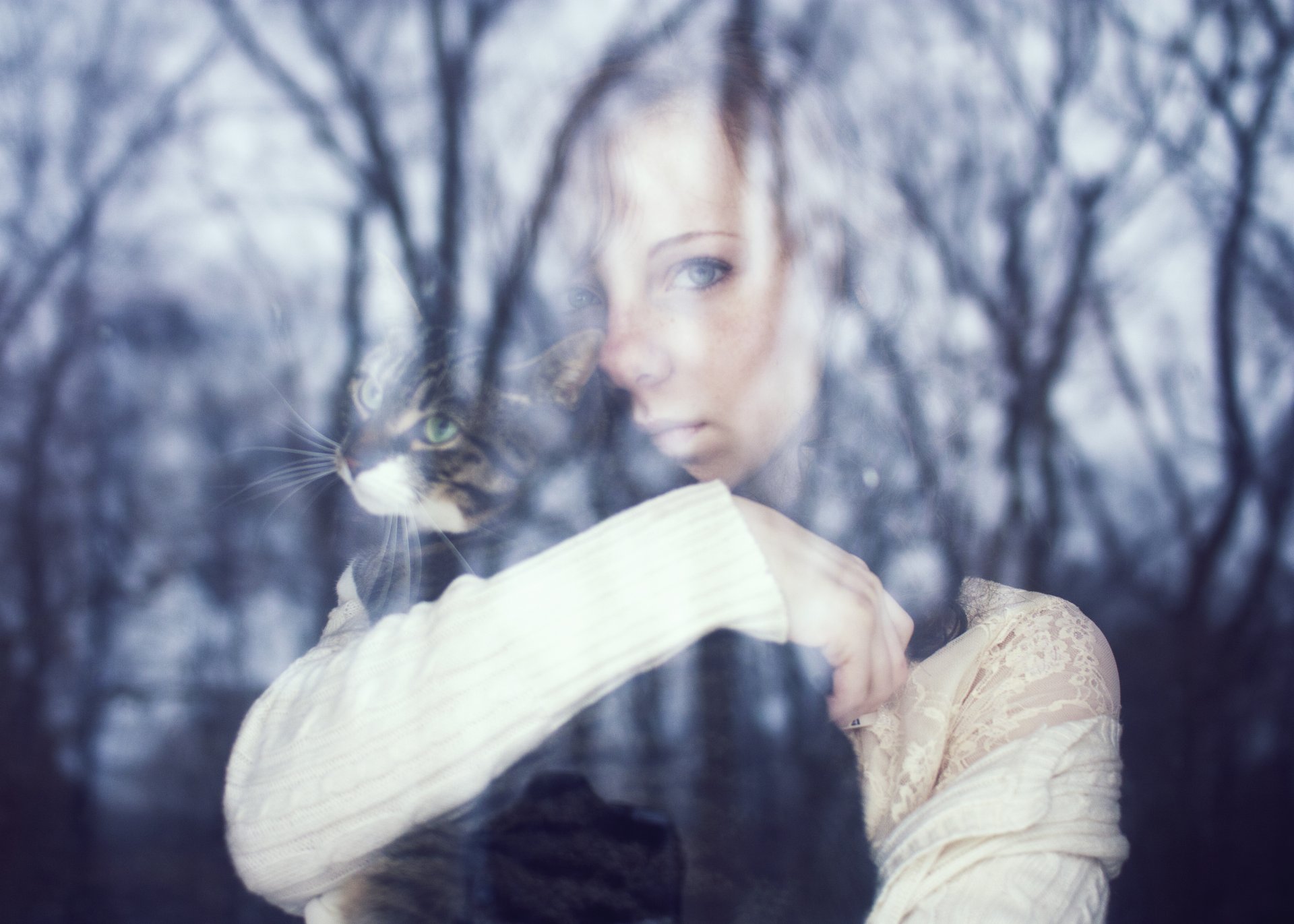 mood girl face makeup look longing solitude cat cat animal thoughtfulness glass reflection tree trees leaves branches weather background wallpaper widescreen fullscreen widescreen eyes loneliness t