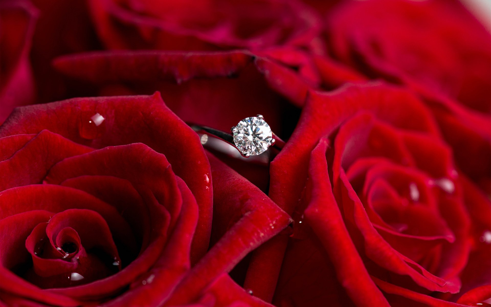 fleurs roses rouges bague diamant