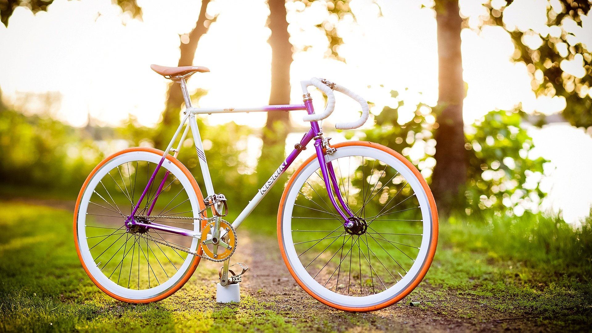 mood bike grass green vegetation tree leaves bicycle bokeh blur background wallpaper widescreen full screen hd wallpaper