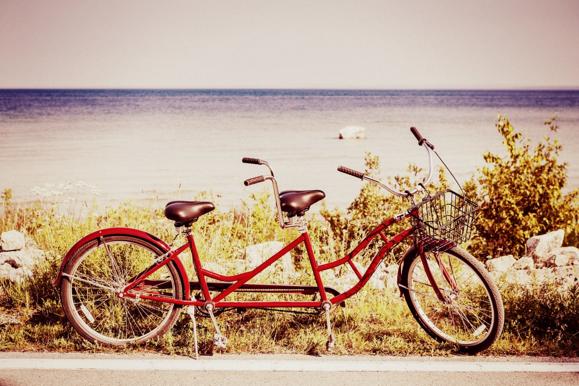 stimmung fahrrad rad räder korb zwei sitze natur grün pflanzen meer wasser fluss horizont himmel hintergrund tapete widescreen vollbild widescreen widescreen