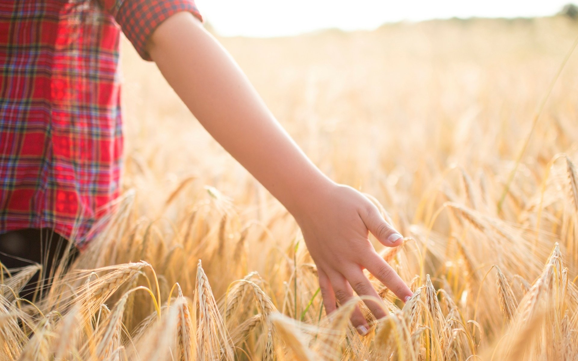 estados de ánimo niños niño mano campo trigo centeno espigas fondo papel pintado pantalla ancha pantalla completa pantalla ancha pantalla ancha