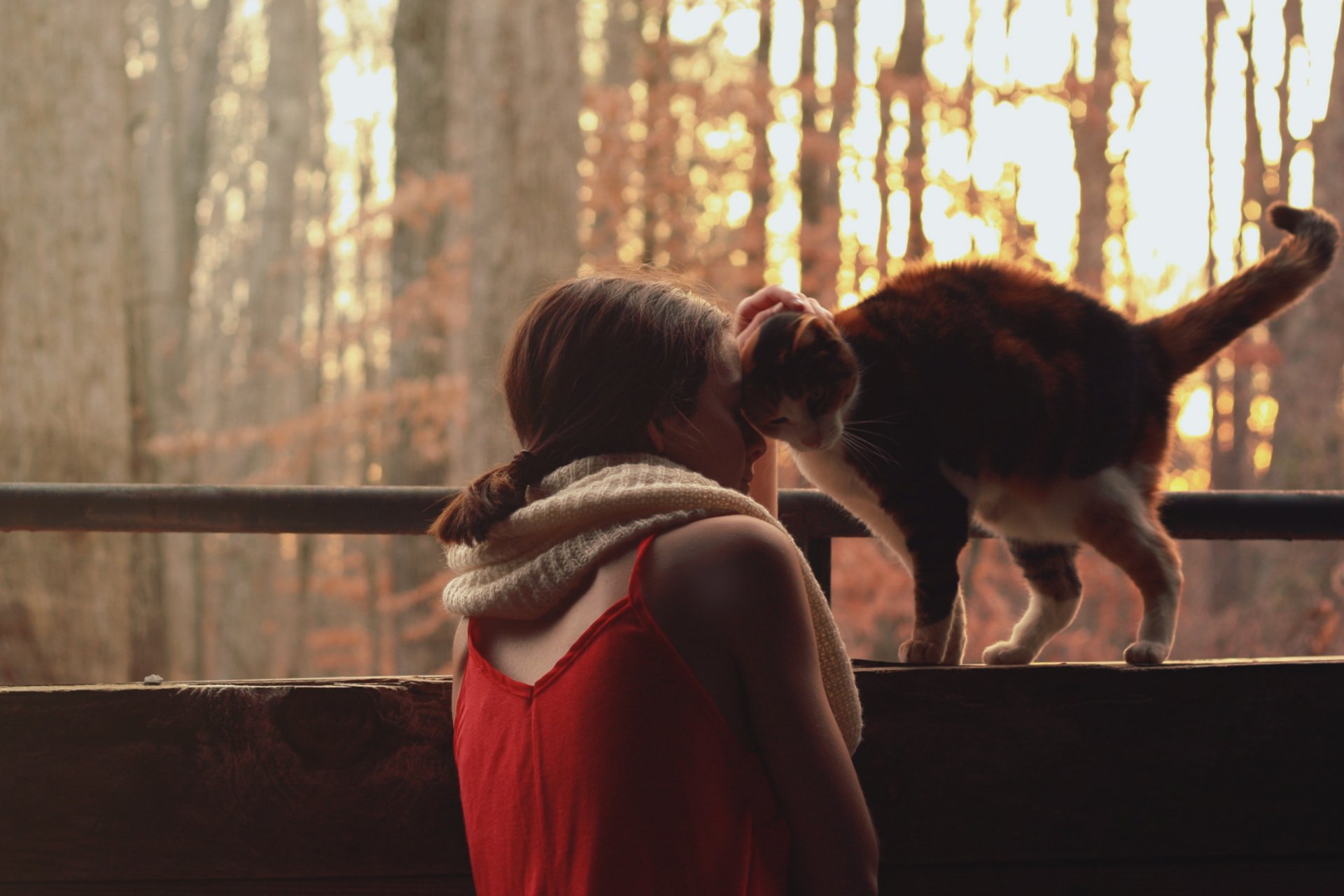 humeur fille chat écharpe veste rouge nature arbres soleil fond fond d écran