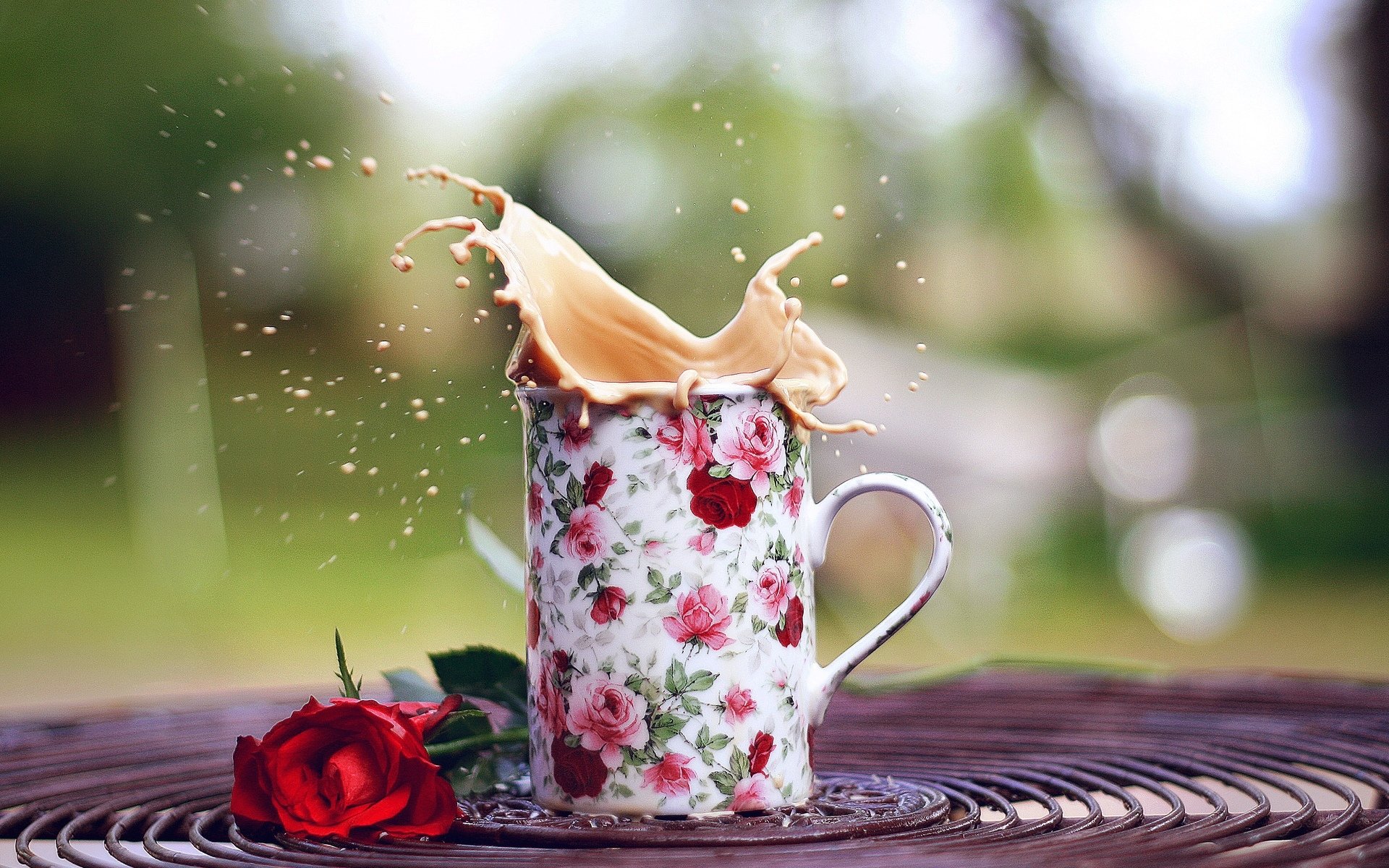 humeur tasse tasse éclaboussures rose. rose rouge fleurs fleurs fond papier peint écran large plein écran écran large écran large