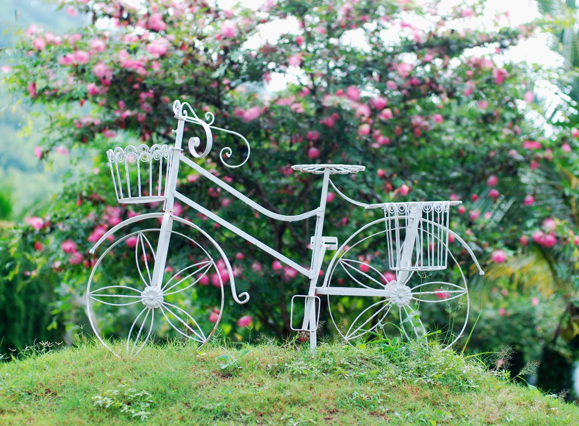 mood bicicletta bianco ruota cestino fiori fiori foglie sfondo carta da parati widescreen schermo intero widescreen widescreen