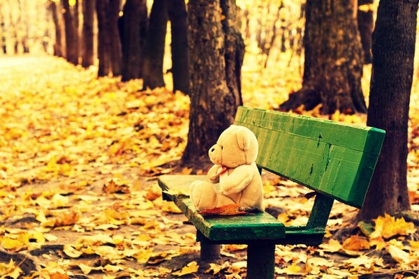 A teddy bear is sitting on a bench