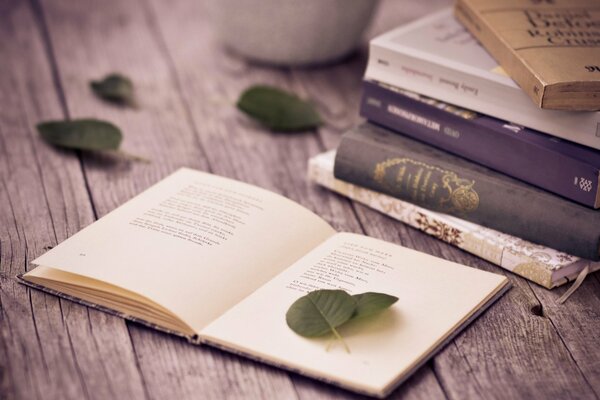 Books with poems lying on the table sprinkled with leaves of trees