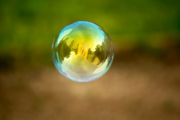 Soap bubbles and reflection in them