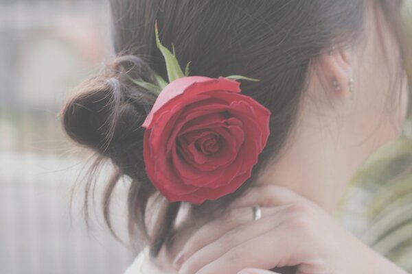 A red rose in a girl s hairstyle