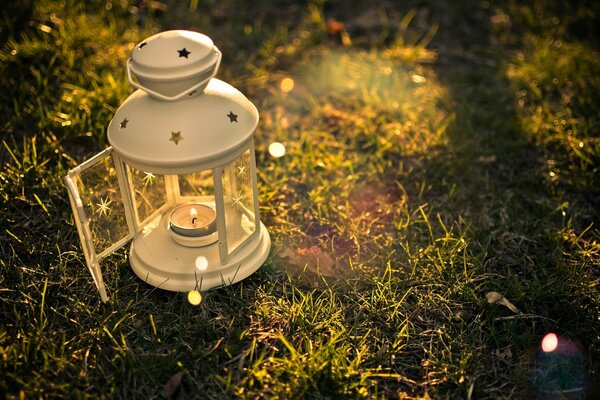 Lantern with candles in the forest