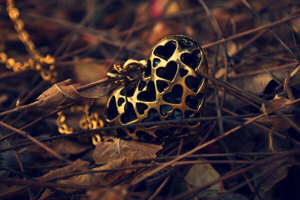 There is a heart pendant in the autumn leaves