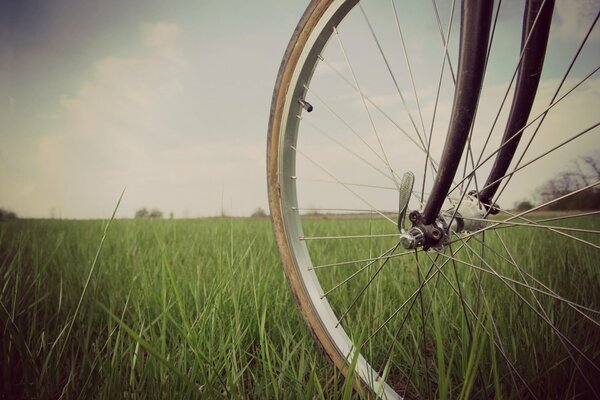 Roue de bicyclette sur l herbe verte