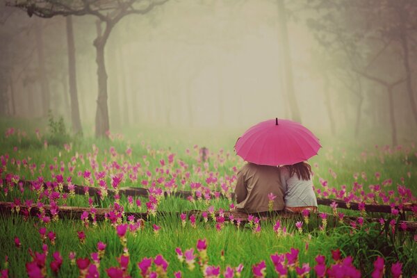 Liebespaar unter einem Regenschirm in Tulpen