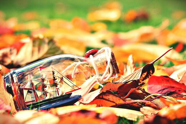 Barco en una botella en las hojas de otoño