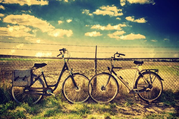 Two bicycles on a clear sky background