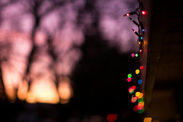 Luces de Navidad en el fondo de la puesta de sol