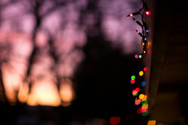 Lampki świąteczne na tle zachodu Słońca