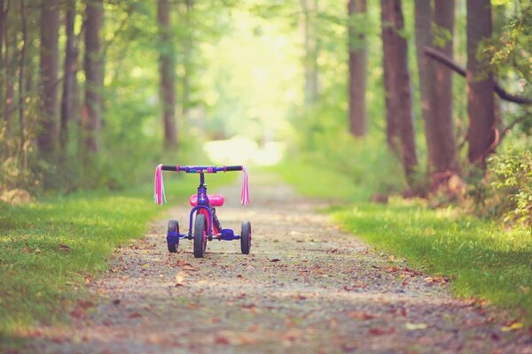 Rower dla dzieci na ścieżce w parku