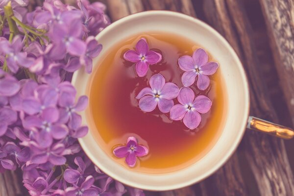 Hermoso fondo de flores de color lila en el té