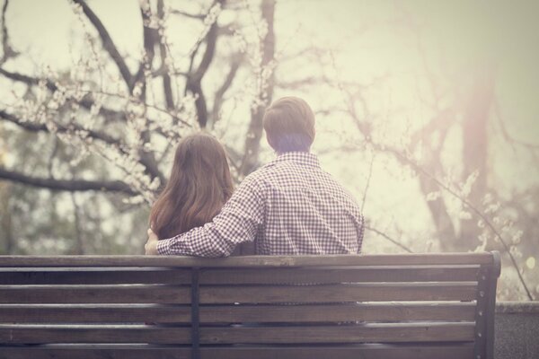 A couple in love on a bench near the trees