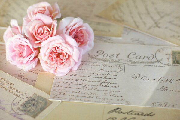 Bouquet of pink roses on letters