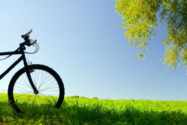 Bicicletta su un prato verde contro il cielo