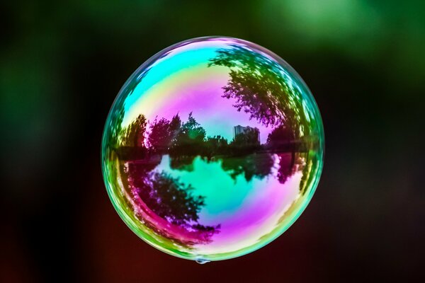 A small world in a soap bubble