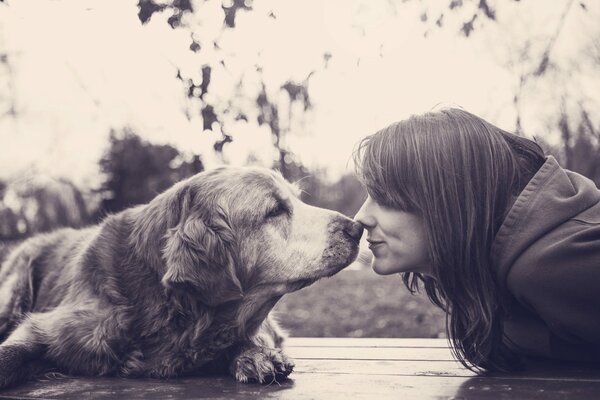 Fille avec un sourire et chien amis