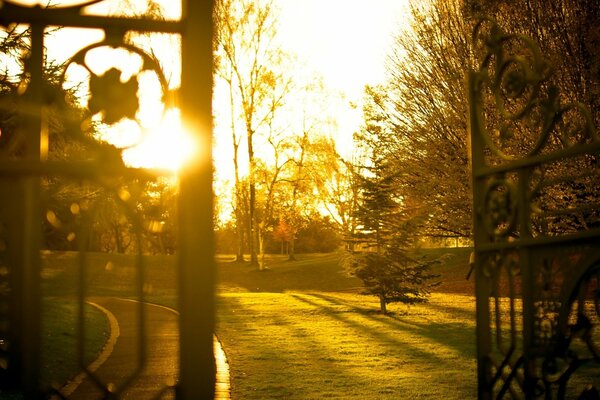 Cancello del giardino, bellissimo tramonto