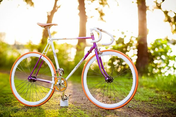 Beautiful bike on a green path