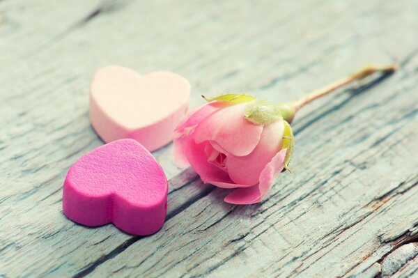 Flower in hearts on the board