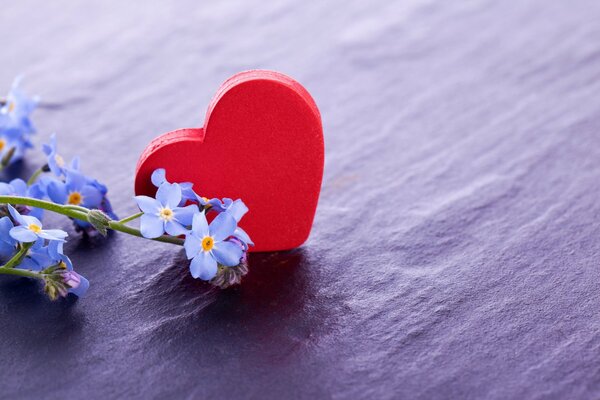 Immagine del cuore con il fiore di amore