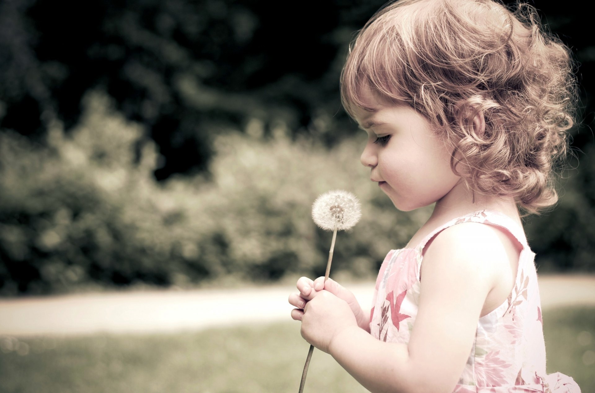 bebé niño niña flor diente de león rizos