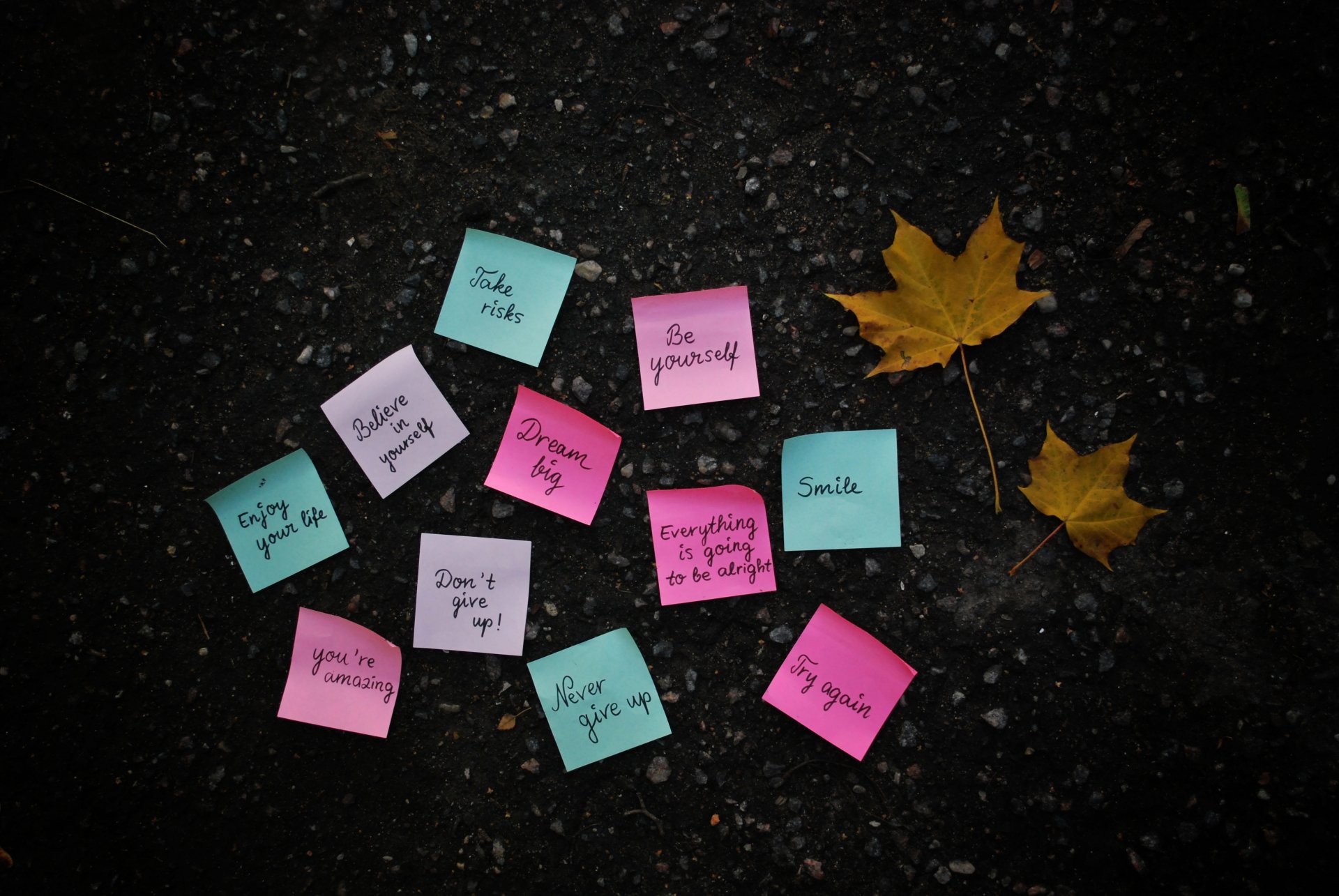 adesivi carte carta lettere frase terra superficie foglie giallo autunno acero