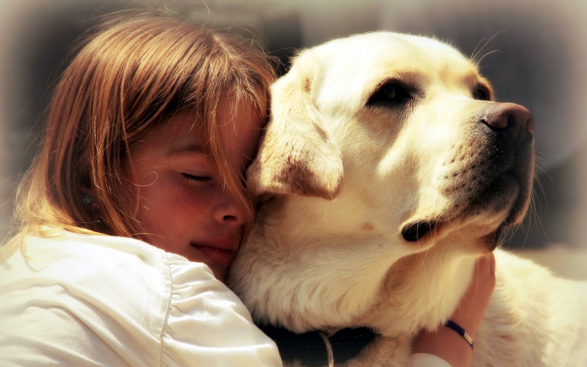 fille chien amis humeur