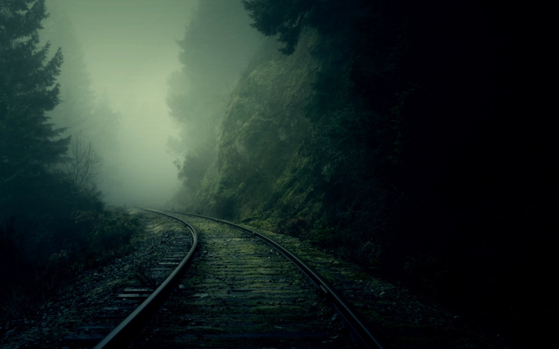 brouillard rails tour forêt