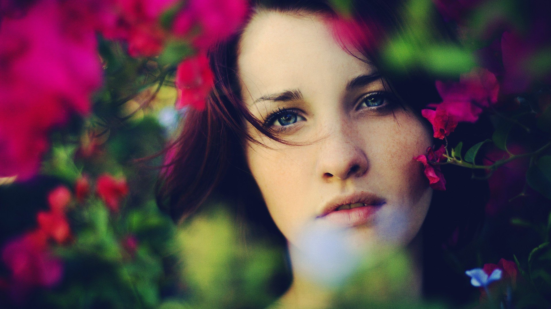 humeur fille visage maquillage regard cheveux rouges fleurs plante feuilles verdure feuillage dents lèvres fond d écran