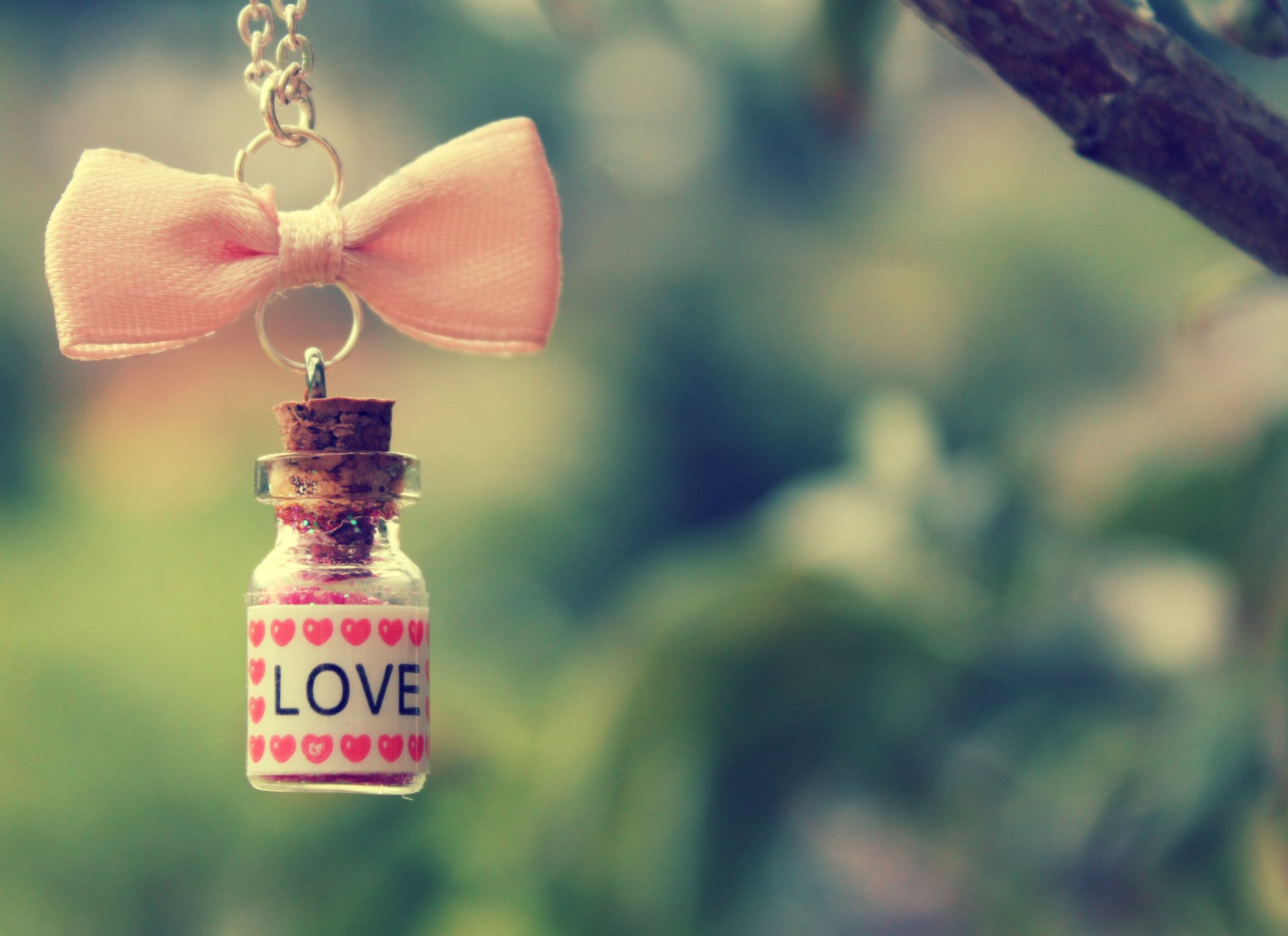 bottle love heart bow pink string branch