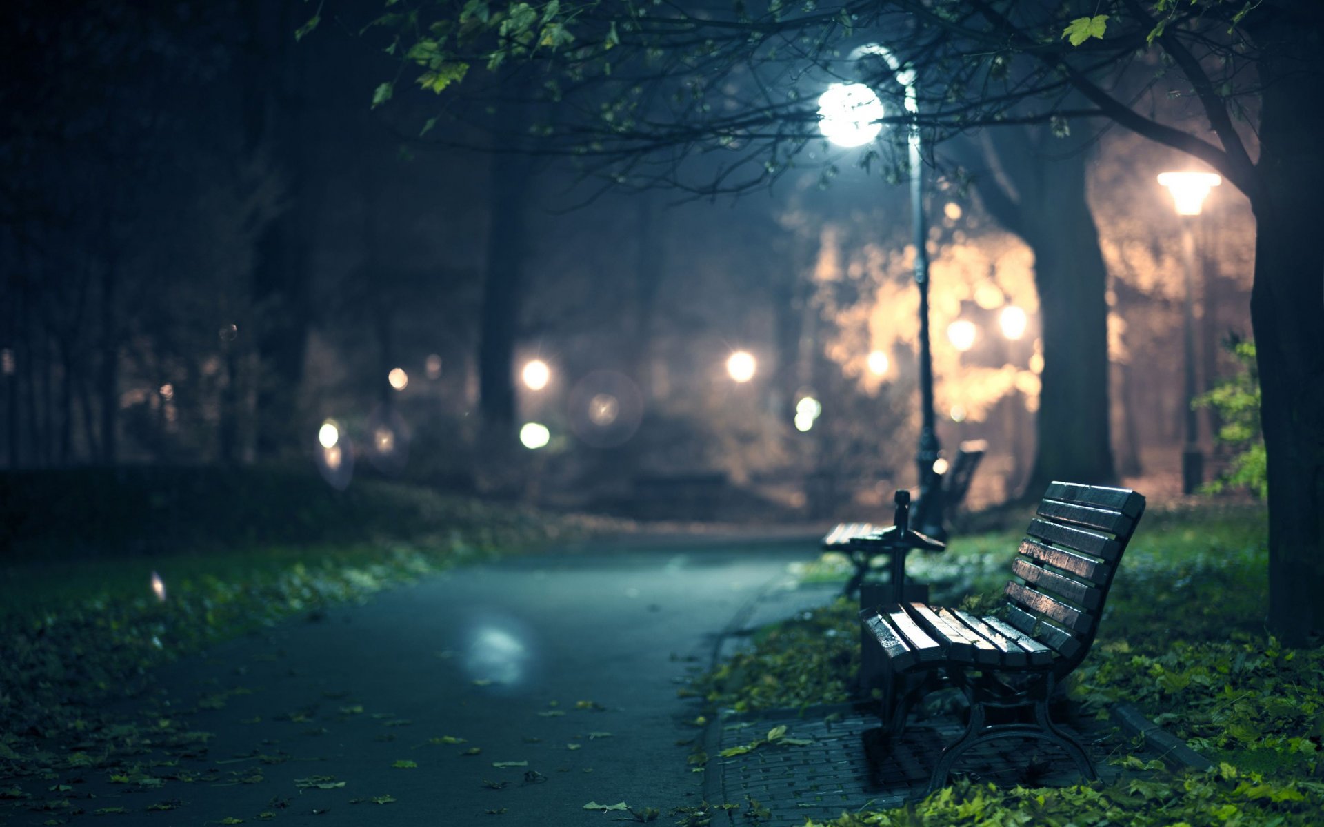 romantik abend bänke bänke sitzbank sitze parks nächtliche städte gehweg gehweg wandern zu fuß baum bäume licht lichter dämmerung dunkelheit nacht dämmerung laternen laterne licht lichter blätter laub herbst herbsttapeten tropfen