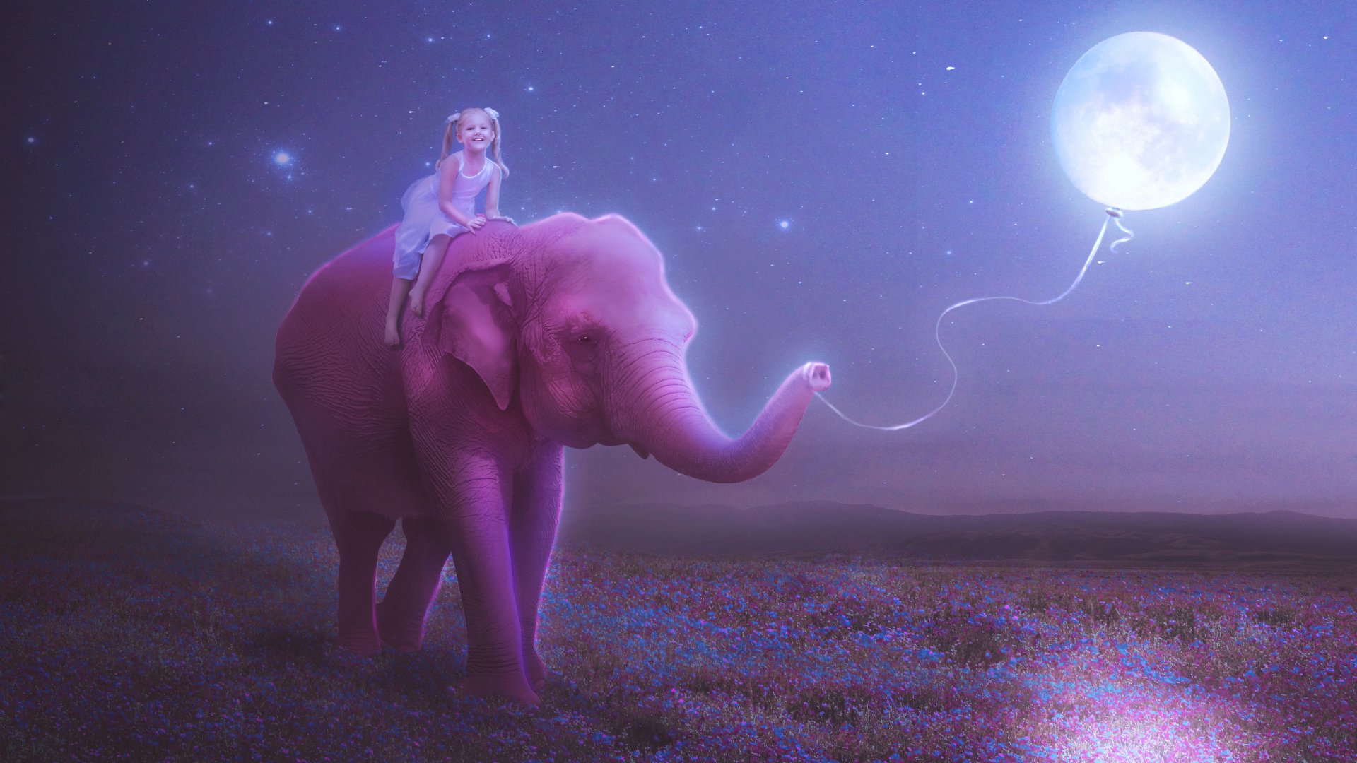 ragazza bambino elefante luna palla filo figura umore felicità sorriso cielo notte stelle fiori prato rosa