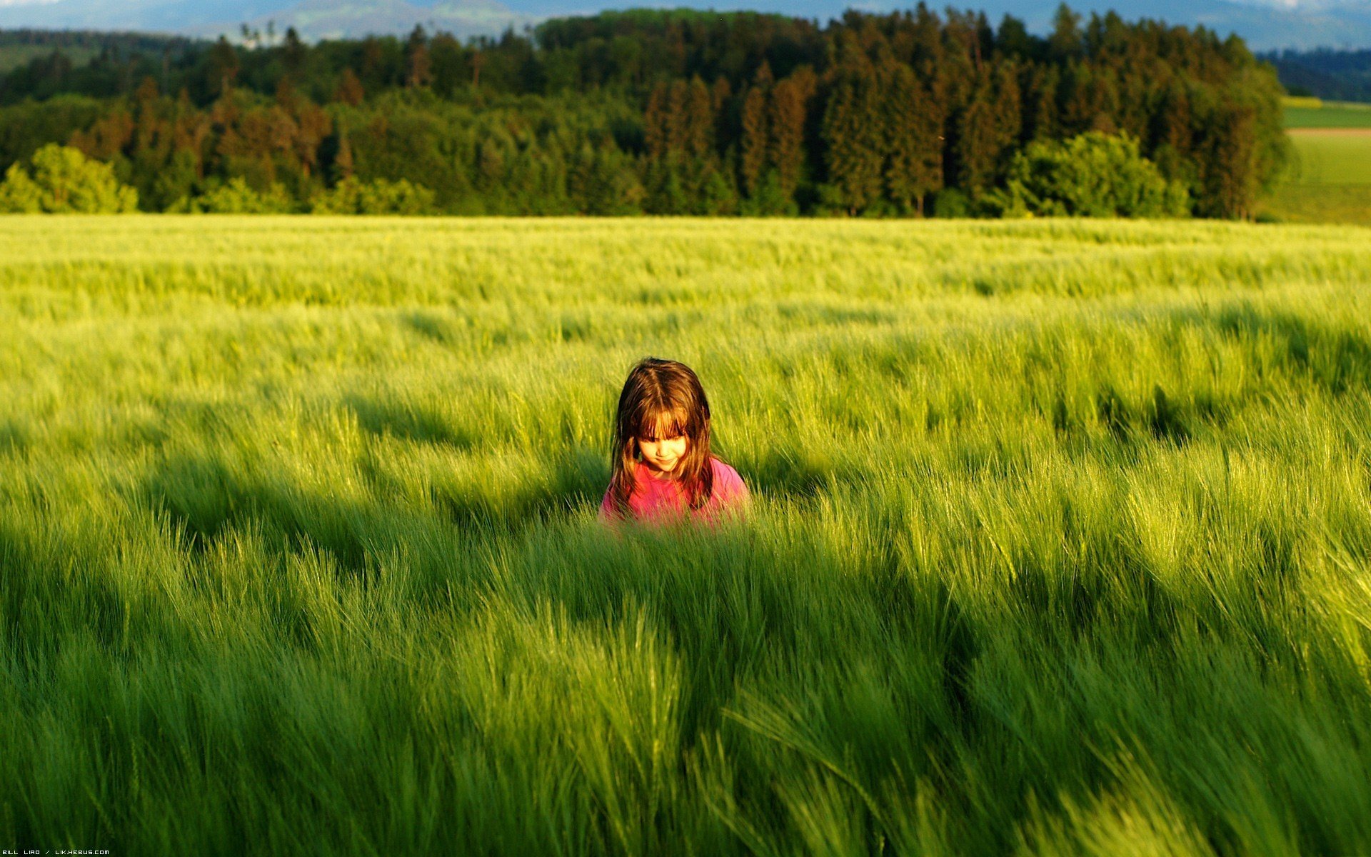 mood children girl. nature grass green meadow sun trees . foliage shadow background wallpapers full screen hd wallpaper