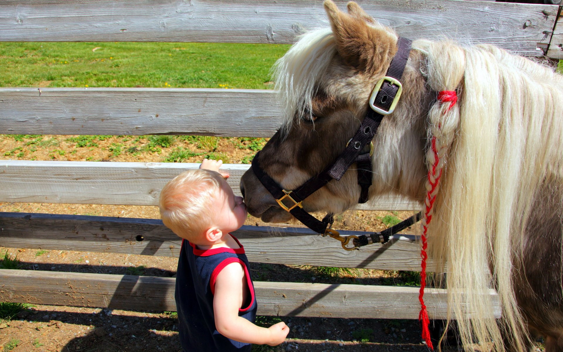 niño pony estado de ánimo