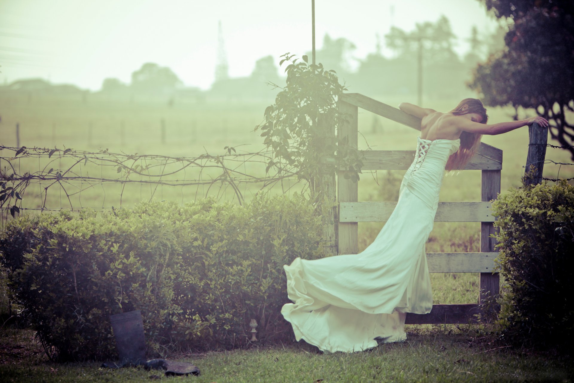 girl wedding dress wedding brides bride fence nature