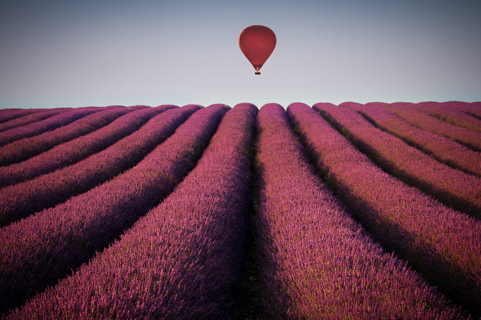 balloon horizon sky the field lavender