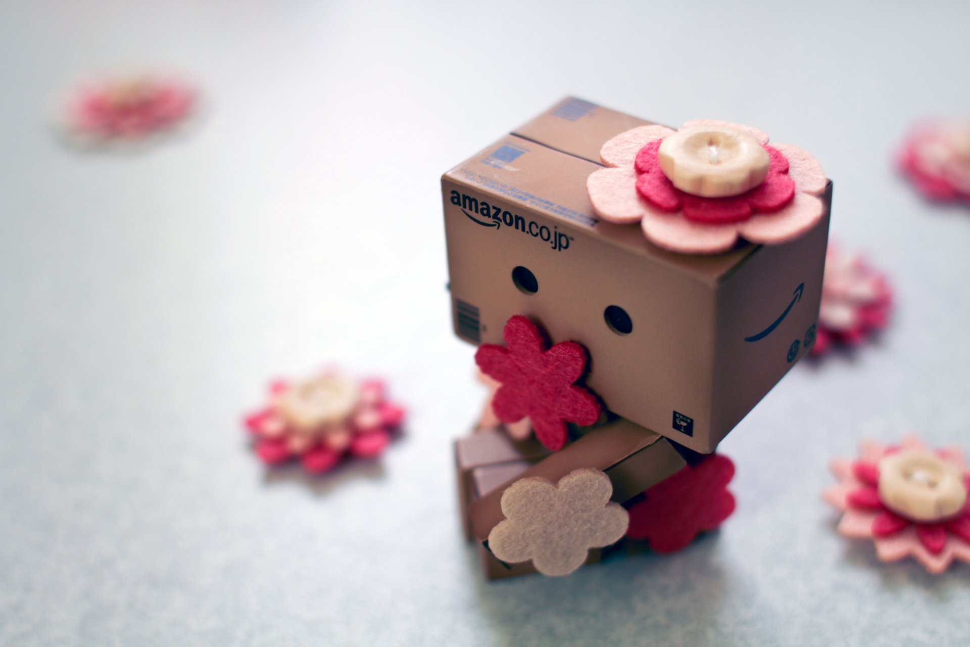 danbo amazon box schachteln blumen knöpfe